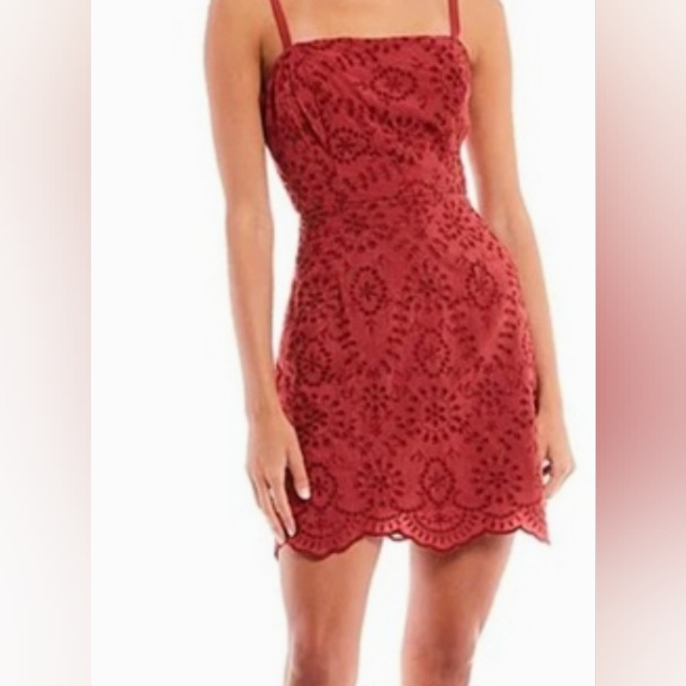 Von Maur Size L Chic Dusty Pink Embroidered Dress, NWT - Picture 1 of 6